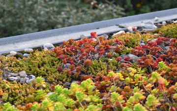 the cost of Dengie green roof installation