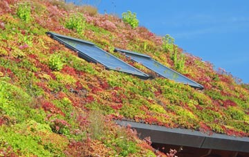 Dengie living roof systems