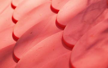 Dengie plastic roof costs